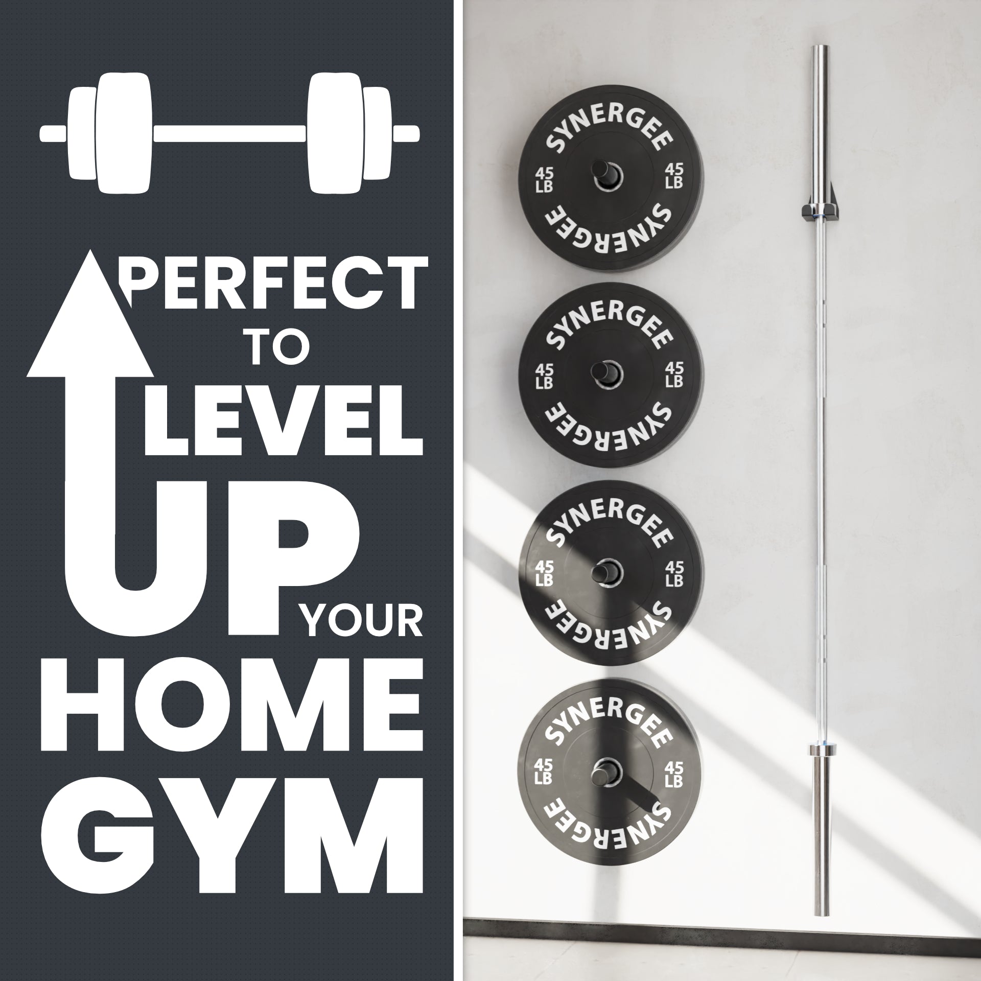 Synergee Barbell and Accessory Hanger
