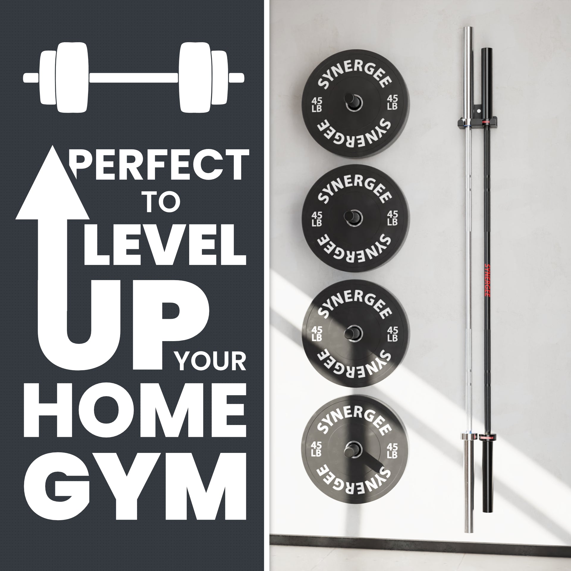 Synergee Barbell and Accessory Hanger