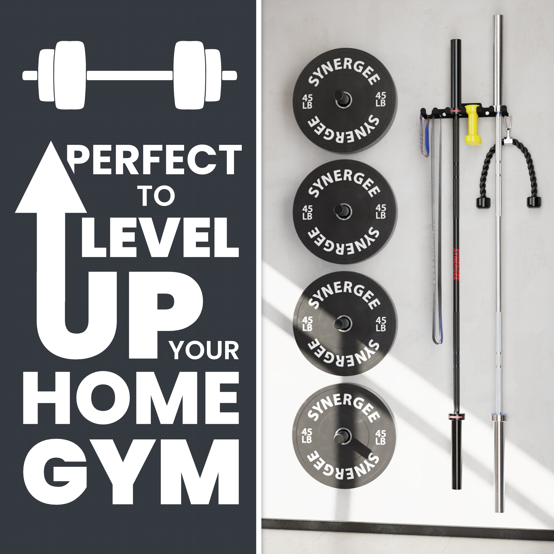 Synergee Barbell and Accessory Hanger