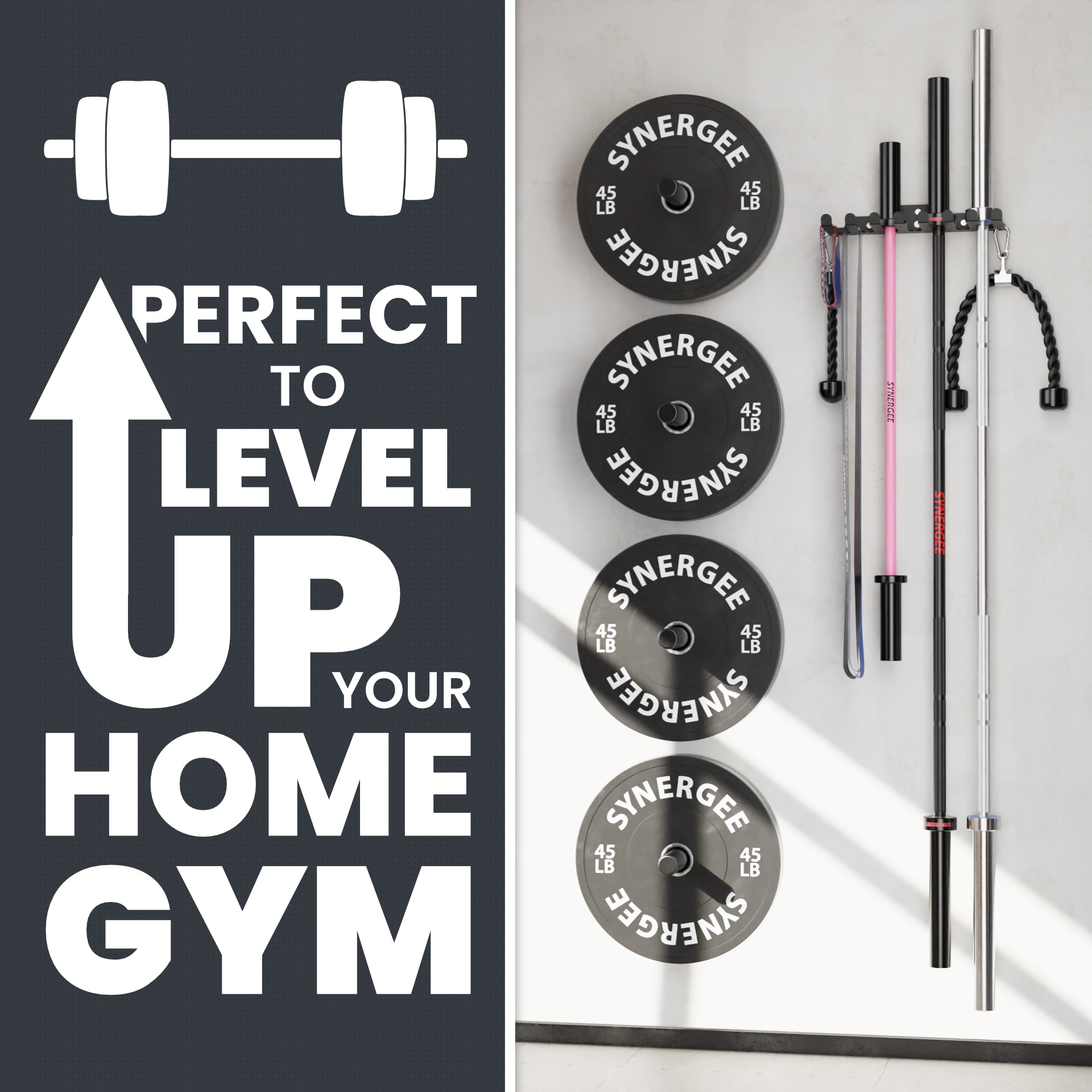 Synergee Barbell and Accessory Hanger